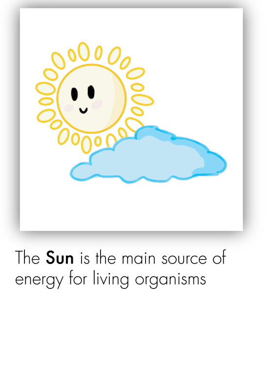 Health - Sun Safety-02