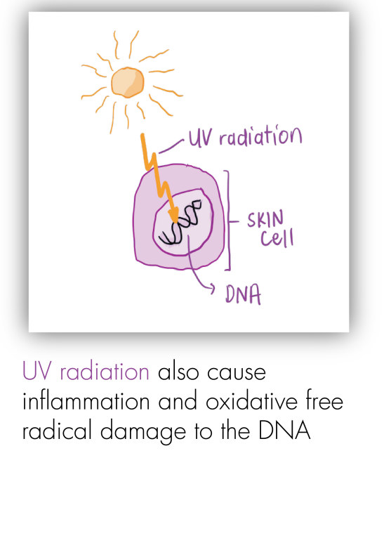 Health - Sun Safety-04