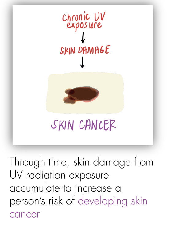 Health - Sun Safety-05