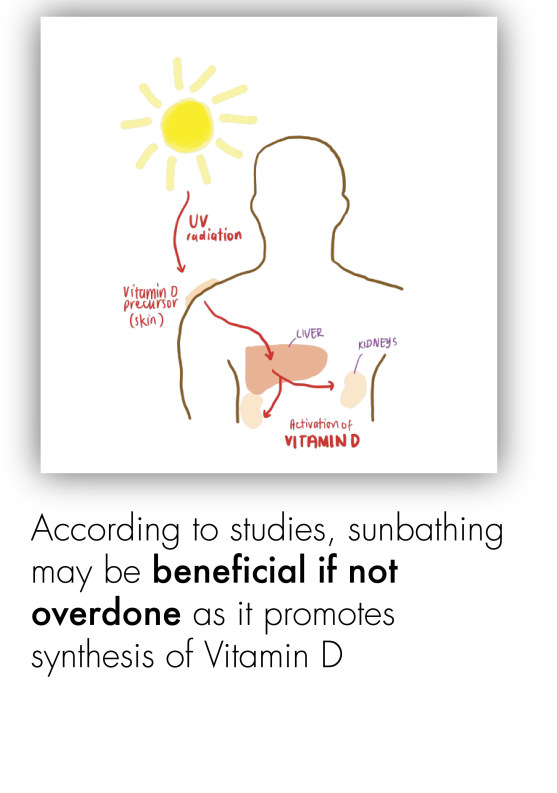Health - Sun Safety-10
